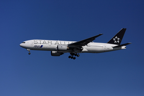 全日本空輸 （STAR ALLIANCE）